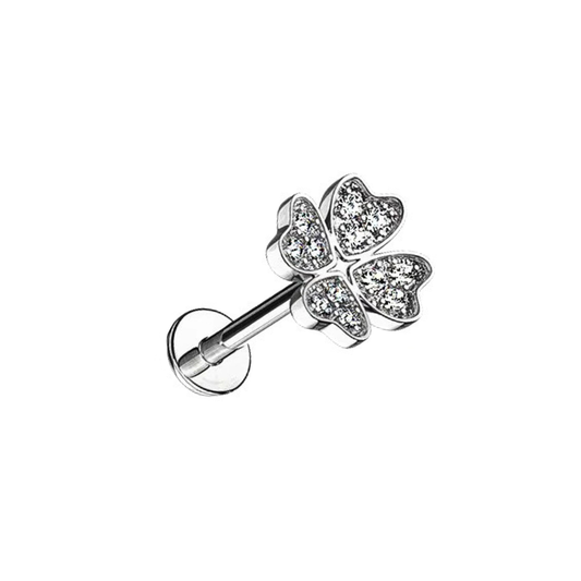 Clover Cz Stud