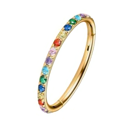 Multicolour Hinged Segment ring